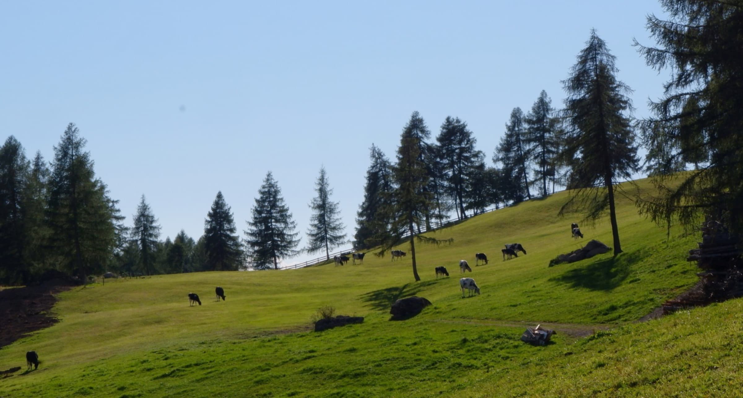 Wiesen & Natur