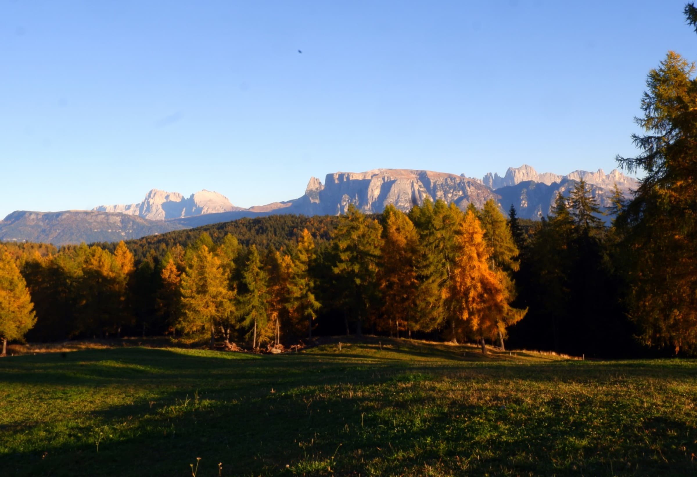 Spaziergänge