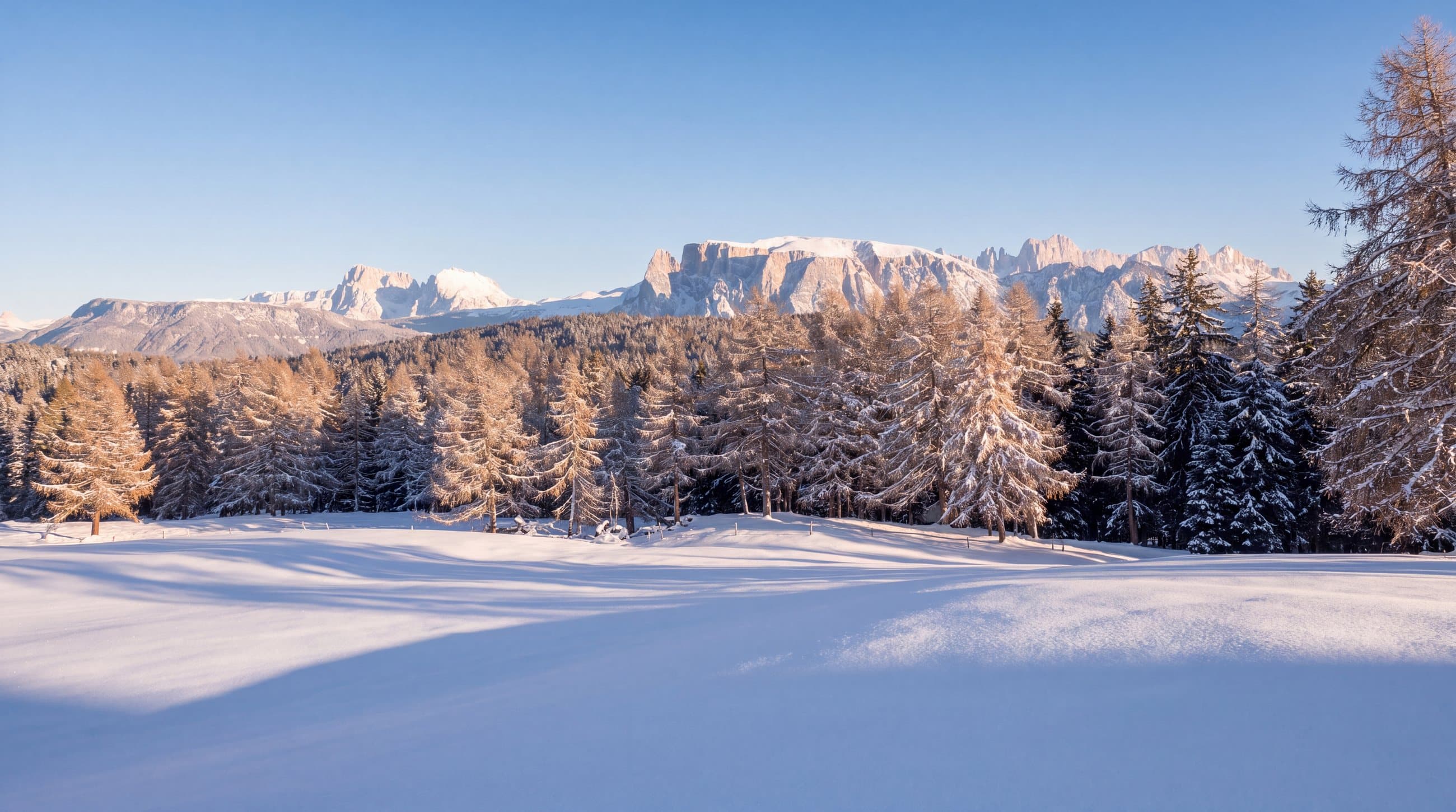 Rodeln, Langlauf & Aussicht