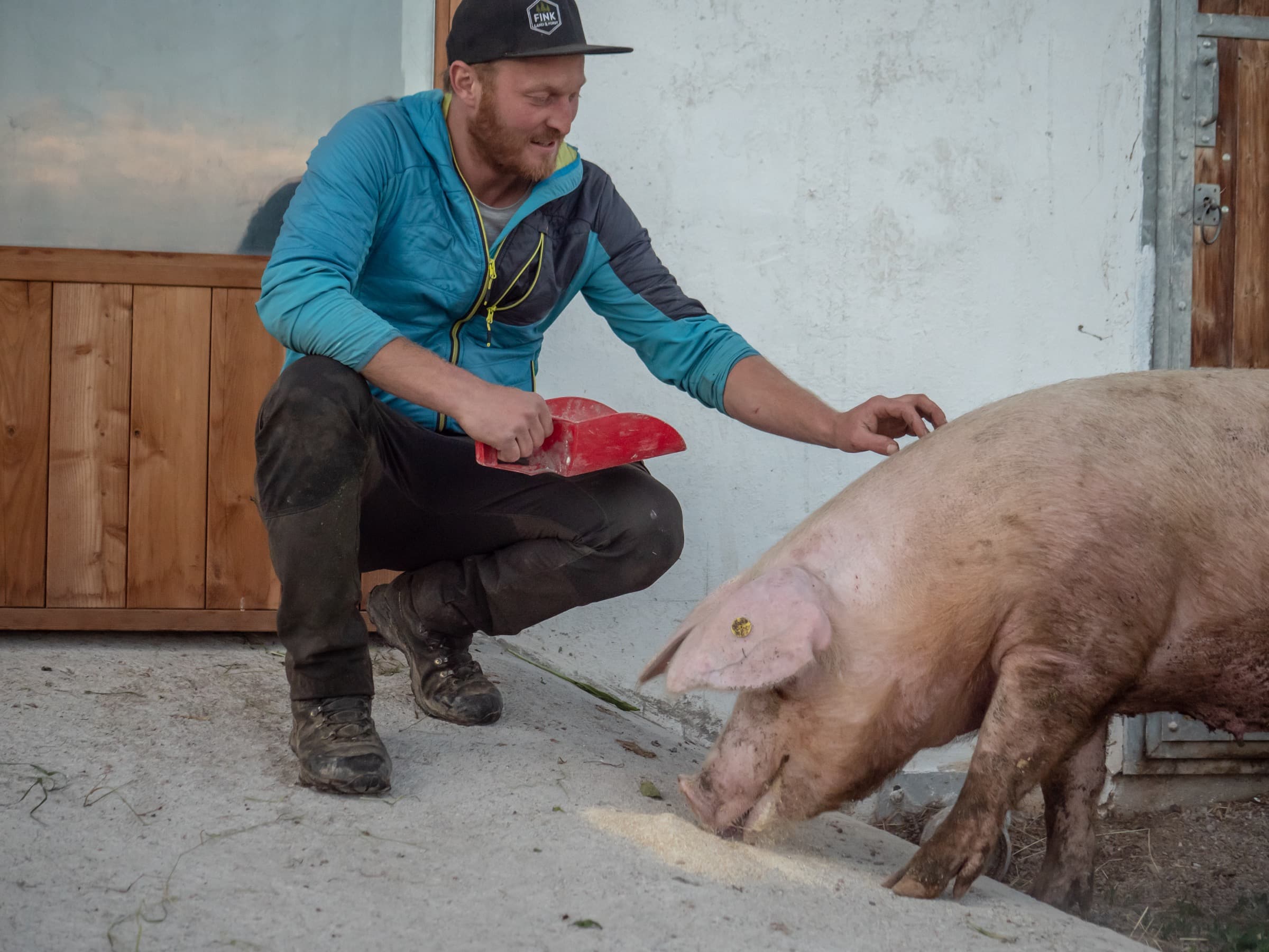 Tiere und Hofalltag