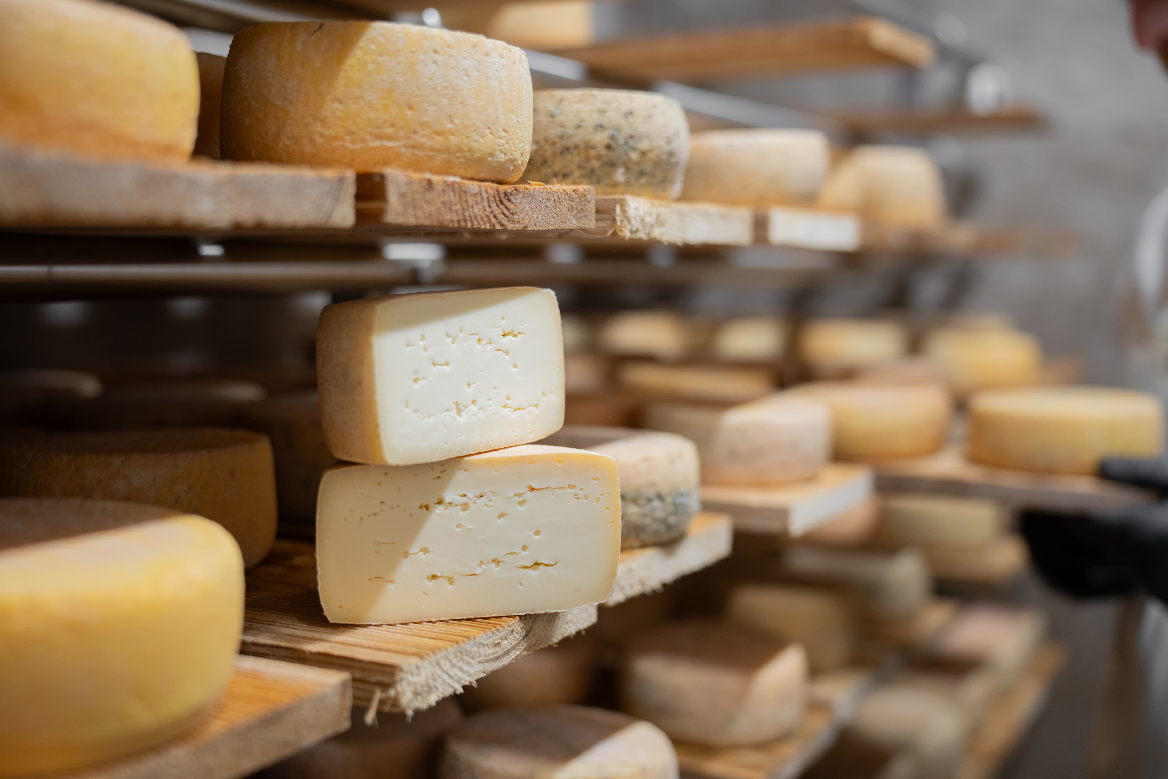 Käse, der hier reift