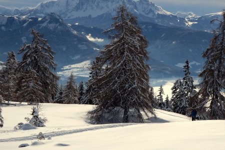 Bellissime esperienze invernali al Wolfhof in Alto Adige