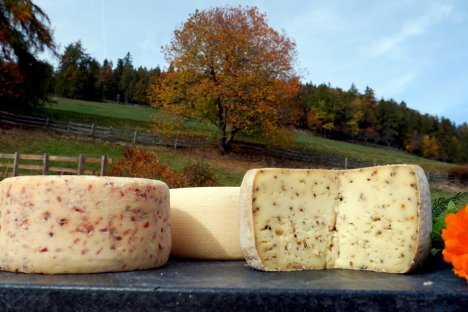 Prodotti del maso