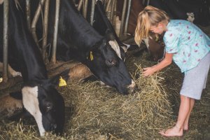 Erlebnisse u Angebote am  Bauernhof 