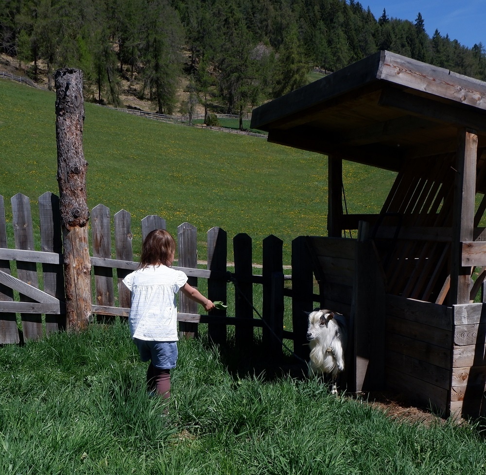 Tiere Kinder und Naturspielplätze